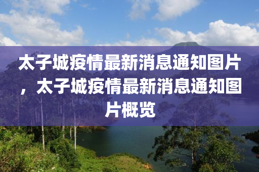 太子城疫情最新消息通知图片,太子城疫情最新消息通知图片概览