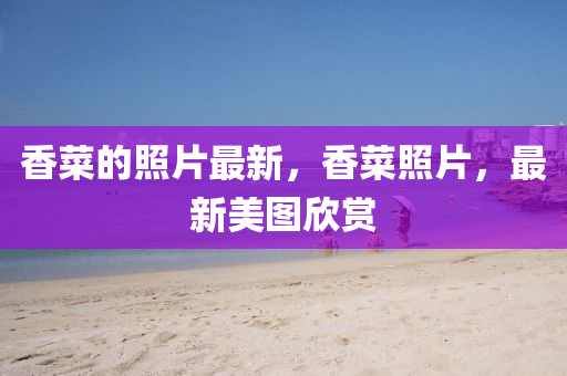 香菜的照片最新，香菜照片，最新美图欣赏