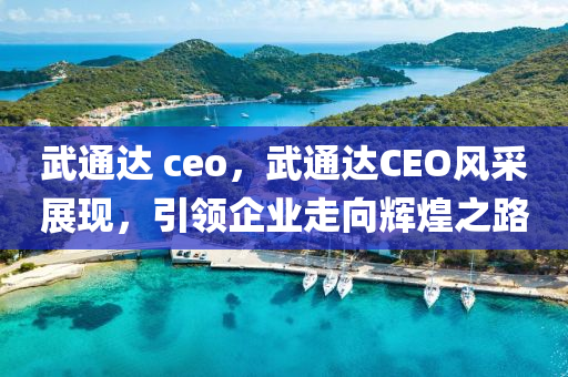 武通达 ceo，武通达CEO风采展现，引领企业走向辉煌之路