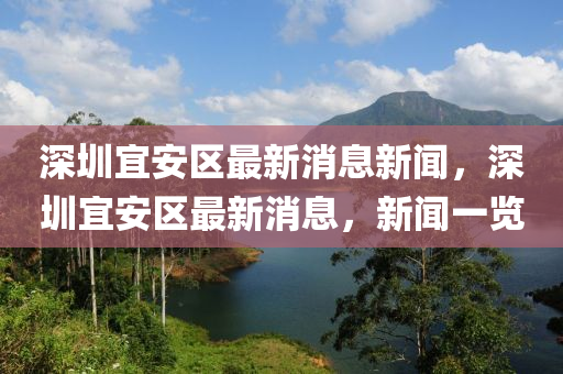 深圳宜安区最新消息新闻,深圳宜安区最新消息,新闻一览
